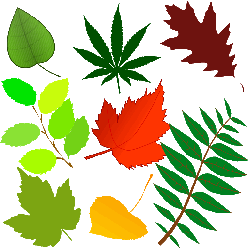 ClipArt Vegetales - Hojas SVG para OpenOffice y LibreOffice